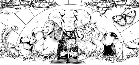 Illustration of archetype characters