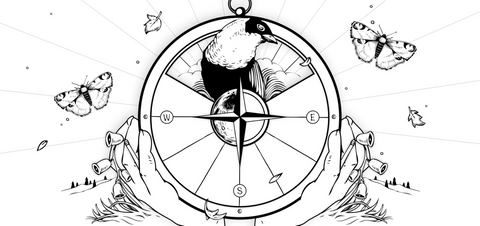 Rituals to Celebrate the Autumn Equinox